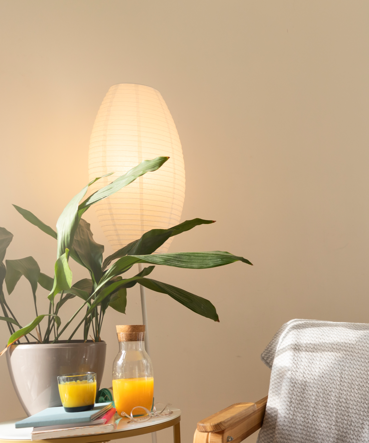 Cozy Lighting with Sengled Bulbs - Ideal for Indoor Settings