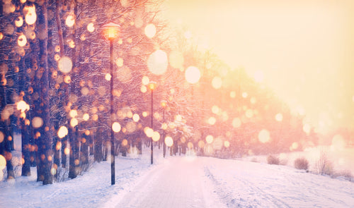 5 Ways to Chase Away the Winter Blues