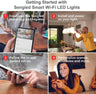 Sengled Smart Wi-Fi LED Daylight A19 Bulb